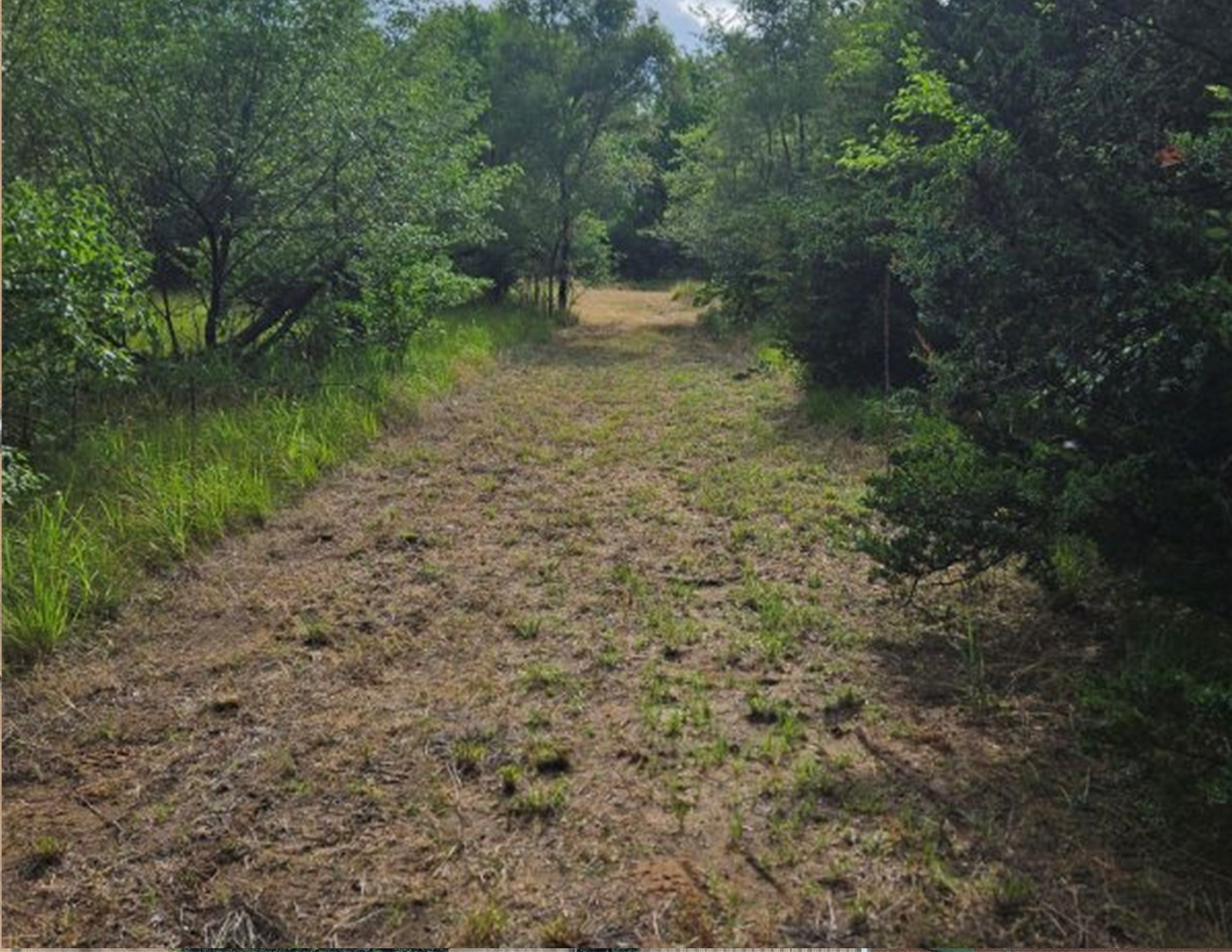 Listing Photo: PTH mOWED